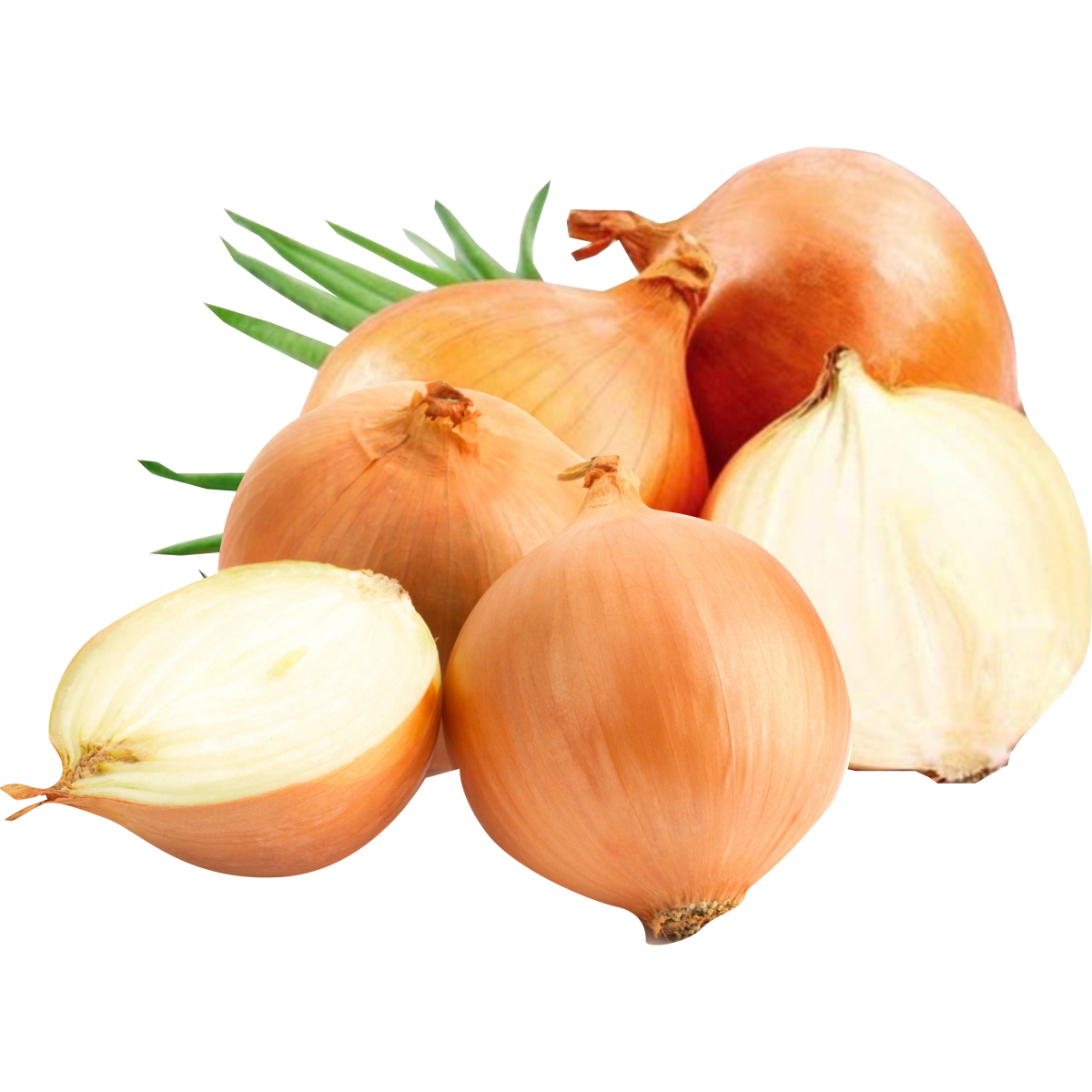 Cebola Extra Kg (cada unidade pesa aprox. 0.150 kg)